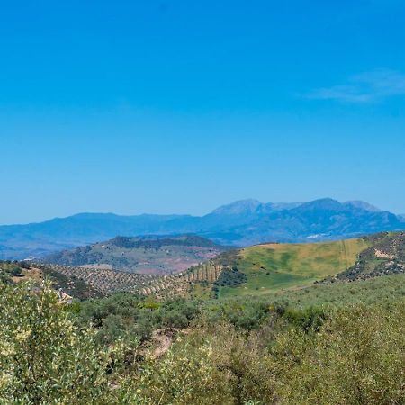 فيلا Alma Del Tejar Antequera La Higuera By Ruralidays المظهر الخارجي الصورة