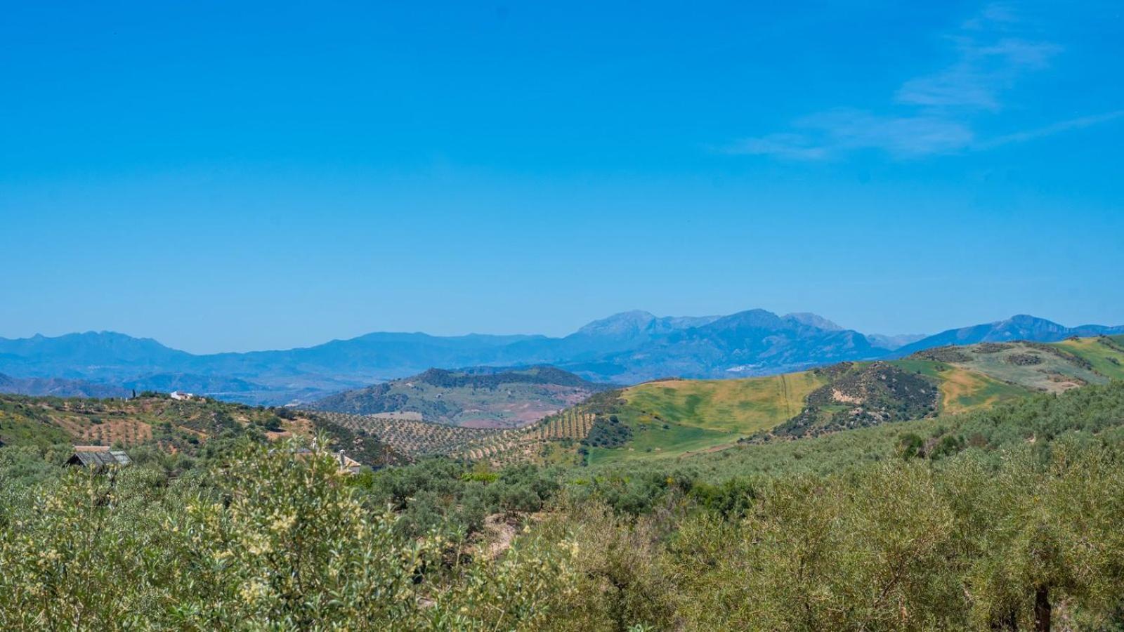 فيلا Alma Del Tejar Antequera La Higuera By Ruralidays المظهر الخارجي الصورة